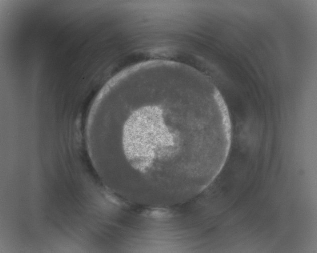 X0000081390506200702090041