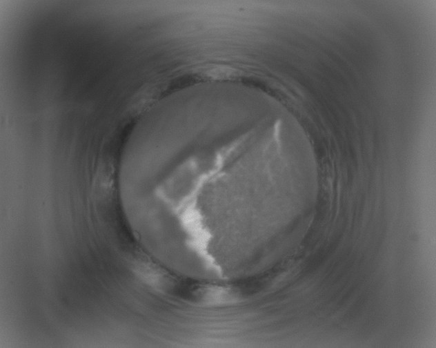 X0000081390507200702090041