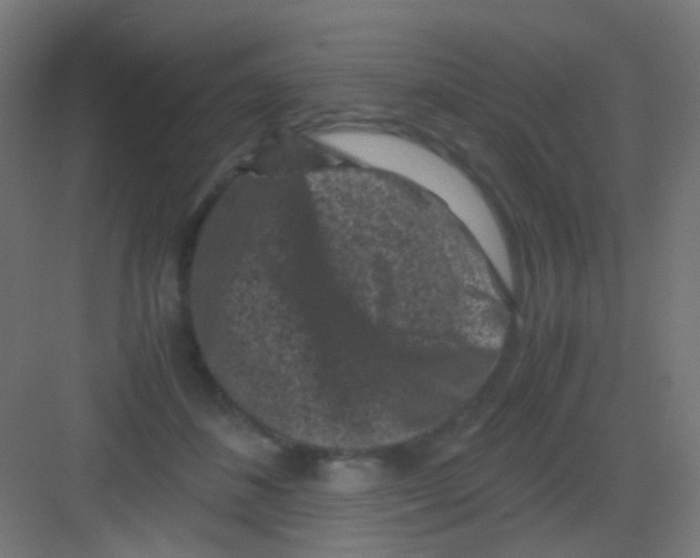 X0000081390508200702090041