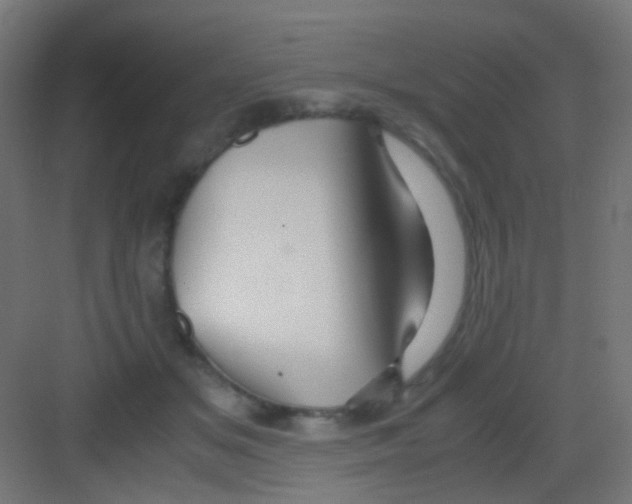 X0000081390509200702090041