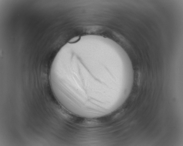 X0000081390510200702090041