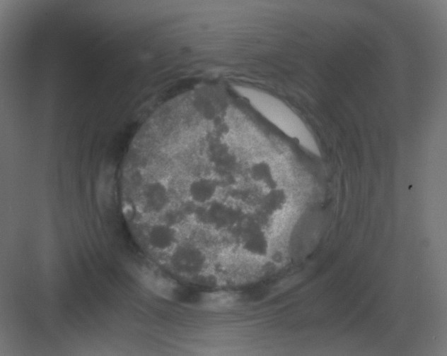 X0000081390511200702090041