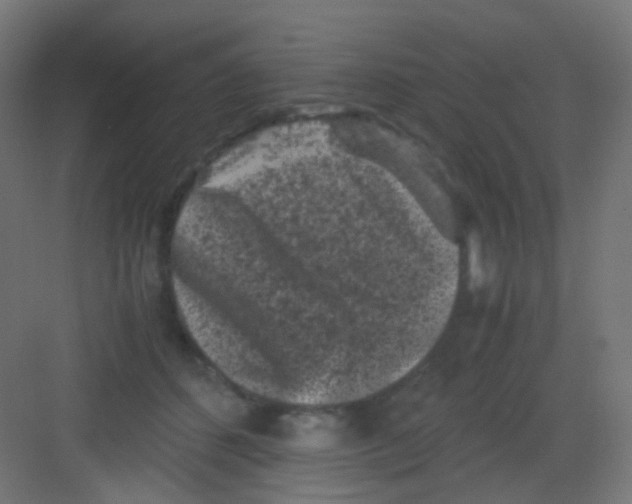 X0000081390512200702090041