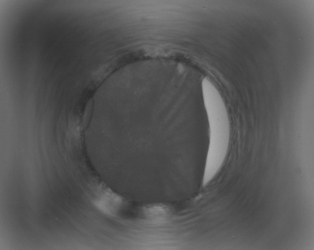 X0000081390513200702090041