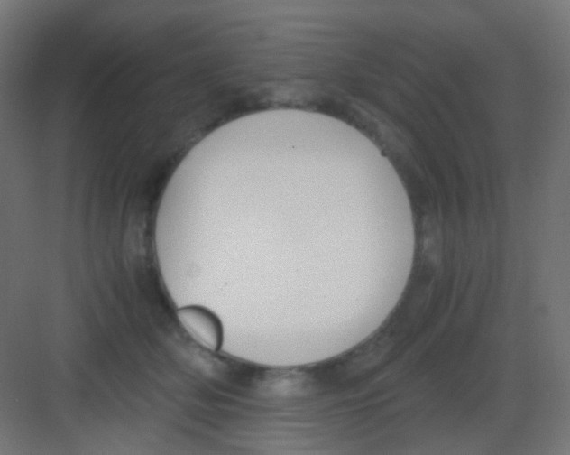 X0000081390514200702090041