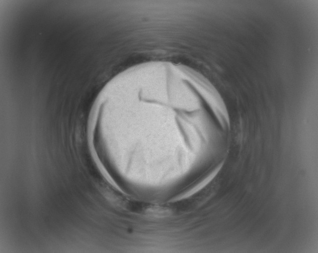 X0000081390515200702090041