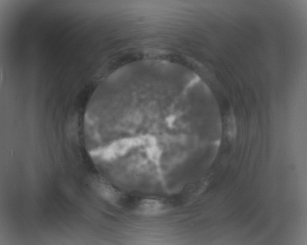 X0000081390519200702090041