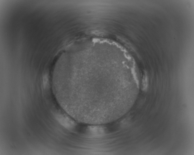 X0000081390520200702090041