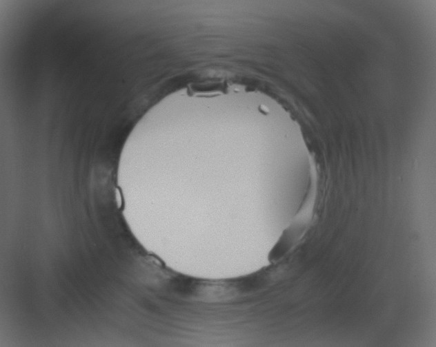 X0000081390521200702090041