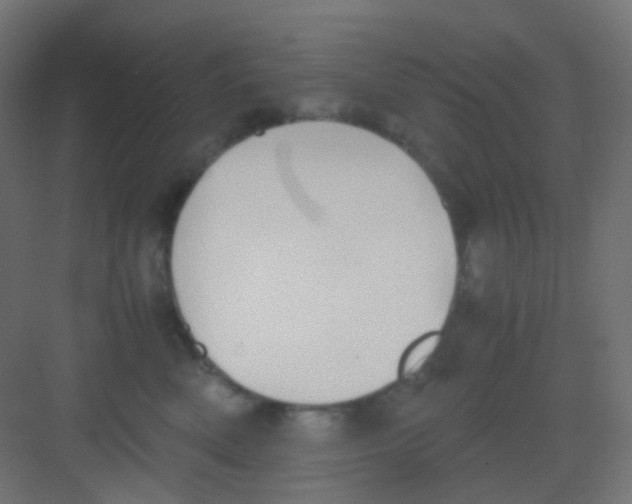 X0000081390522200702090041