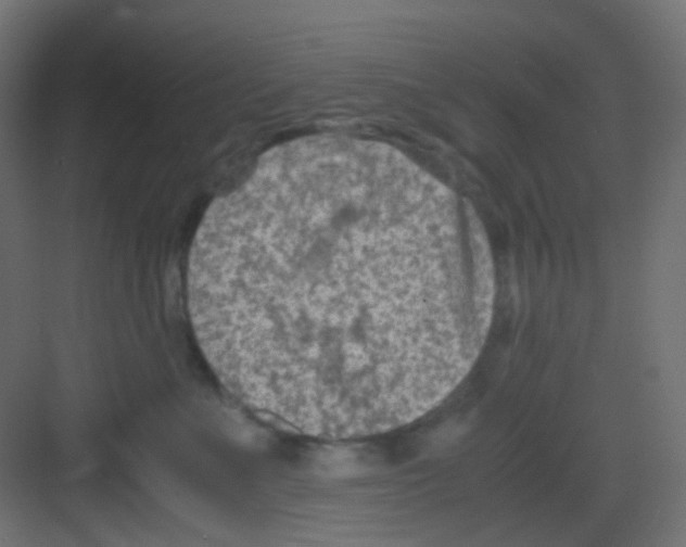 X0000081390523200702090041