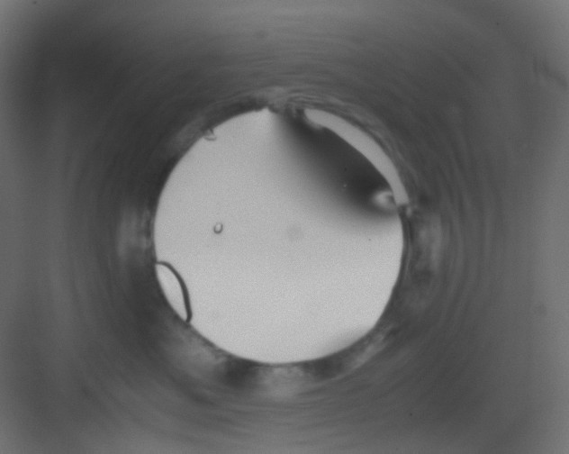 X0000081390525200702090041