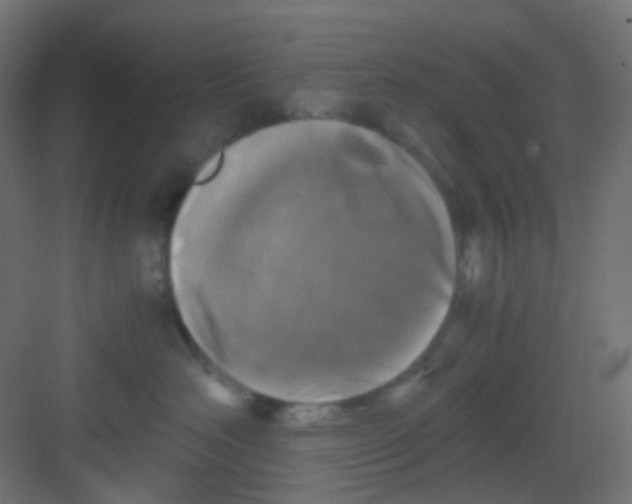 X0000081390526200702090041