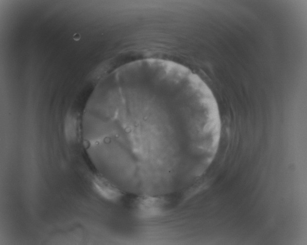 X0000081390527200702090041