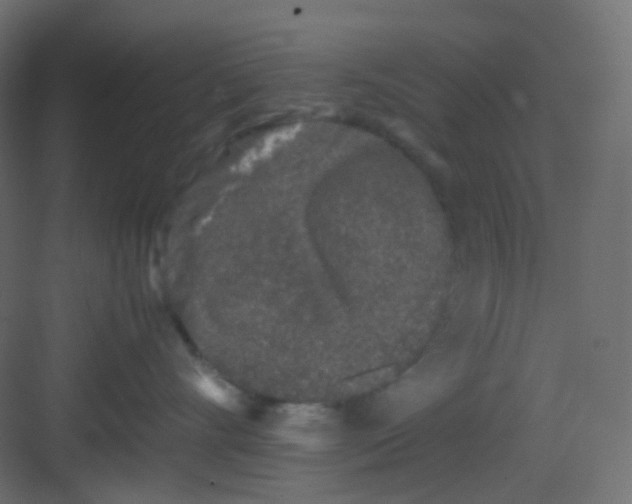 X0000081390528200702090041