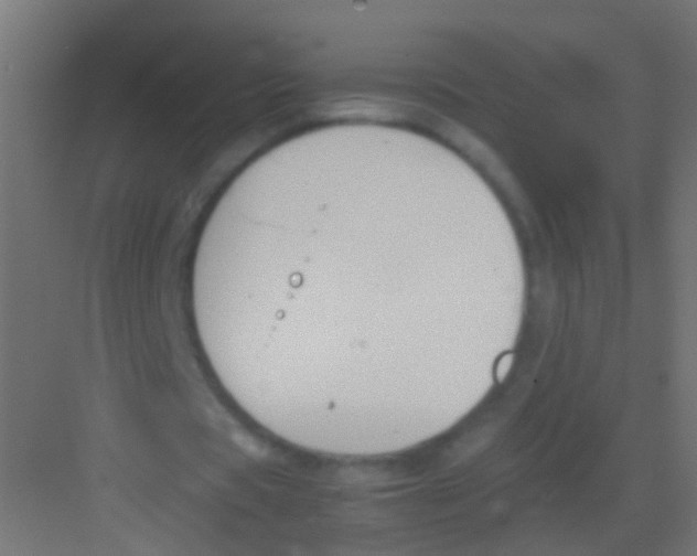 X0000081390529200702090040