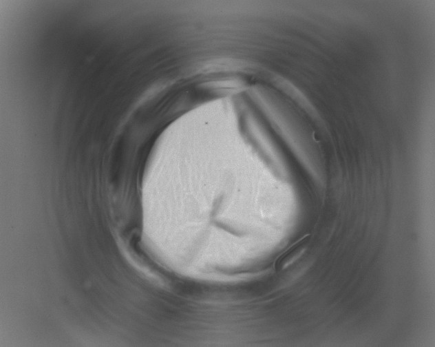 X0000081390530200702090040