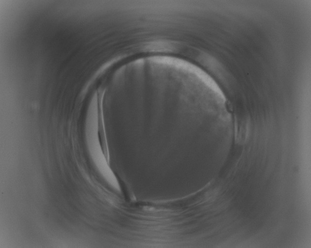 X0000081390531200702090040