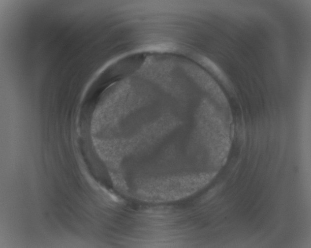 X0000081390532200702090040