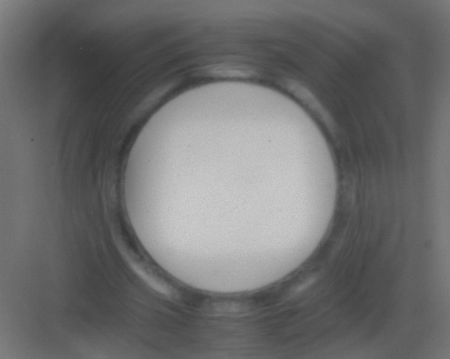 X0000081390533200702090040