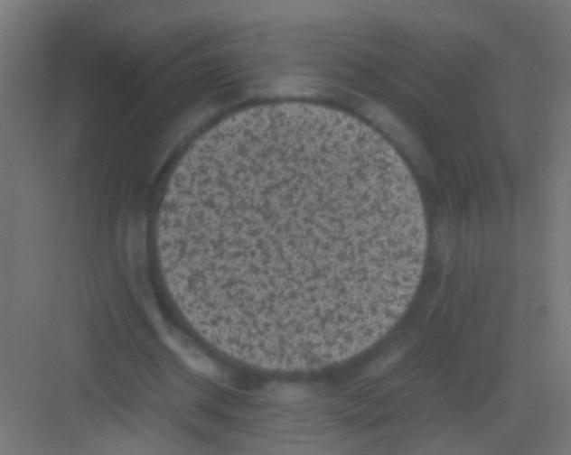 X0000081390534200702090040