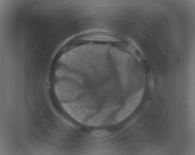 X0000081390536200702090040