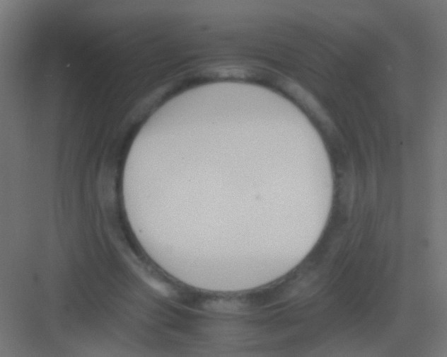 X0000081390537200702090040