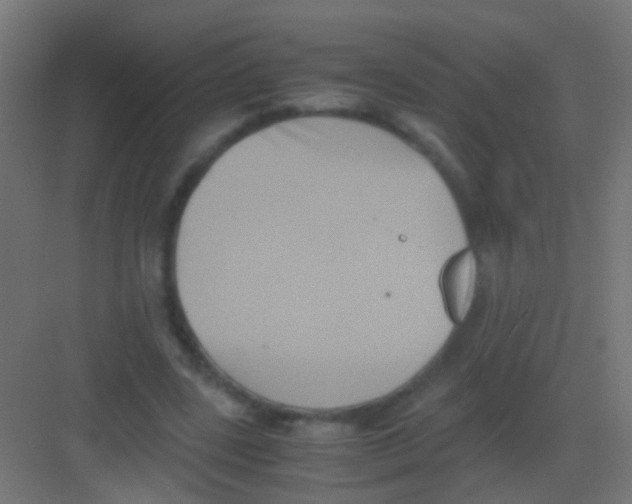 X0000081390539200702090040