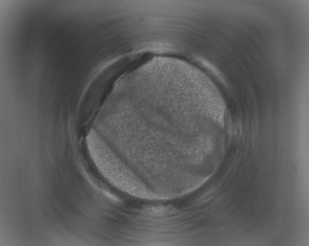 X0000081390540200702090040