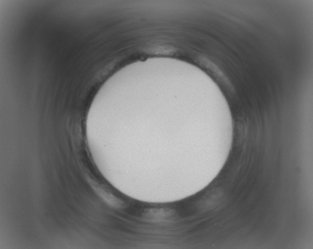 X0000081390541200702090040