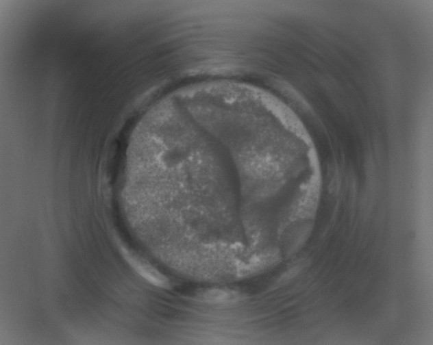 X0000081390542200702090040