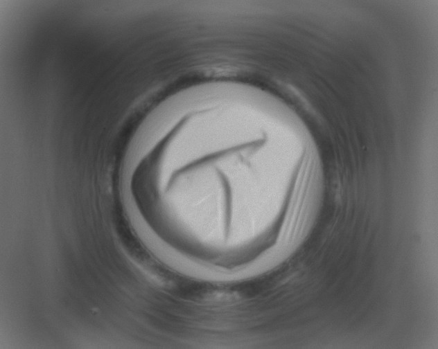 X0000081390543200702090040