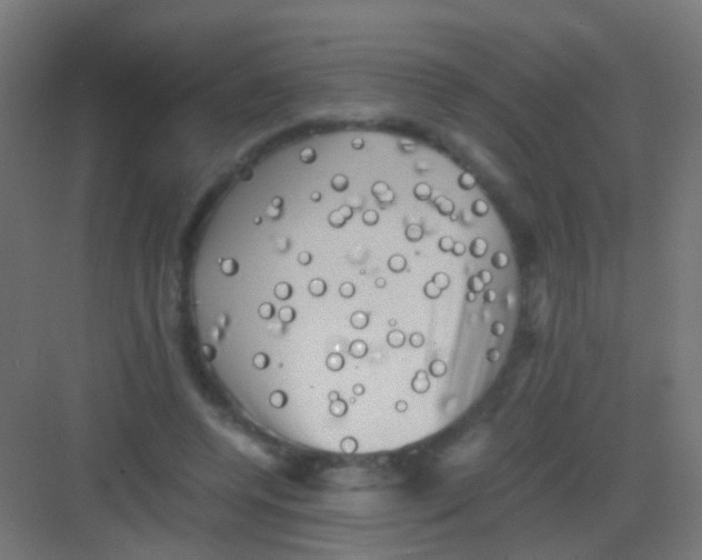 X0000081390544200702090040