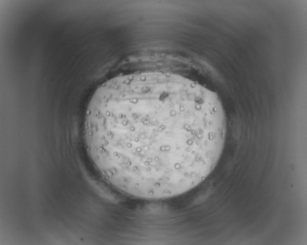 X0000081390546200702090040