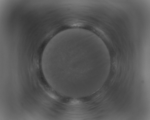 X0000081390547200702090040