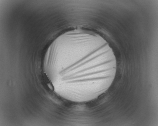 X0000081390548200702090040