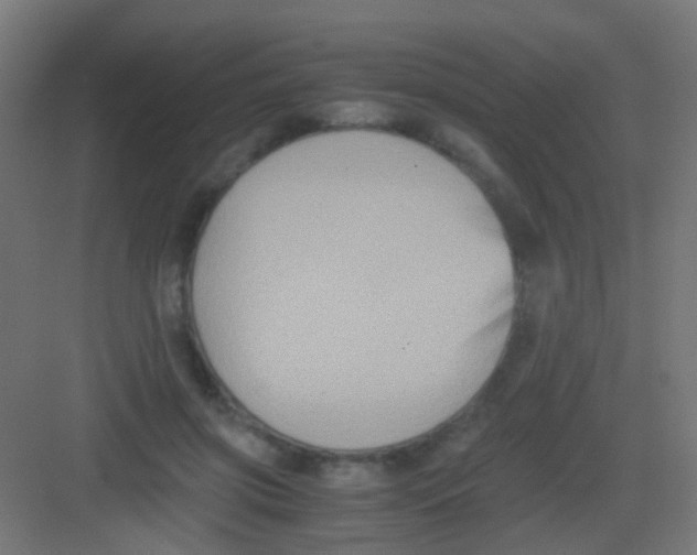 X0000081390549200702090040