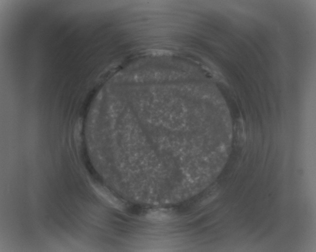 X0000081390550200702090040