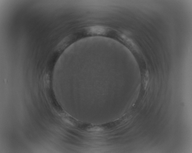 X0000081390551200702090040