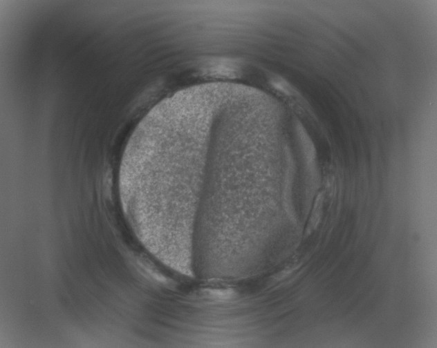 X0000081390552200702090040