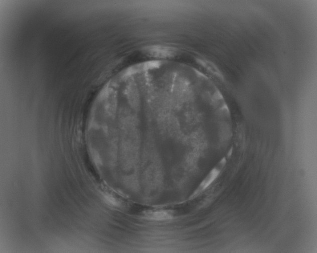 X0000081390553200702090040