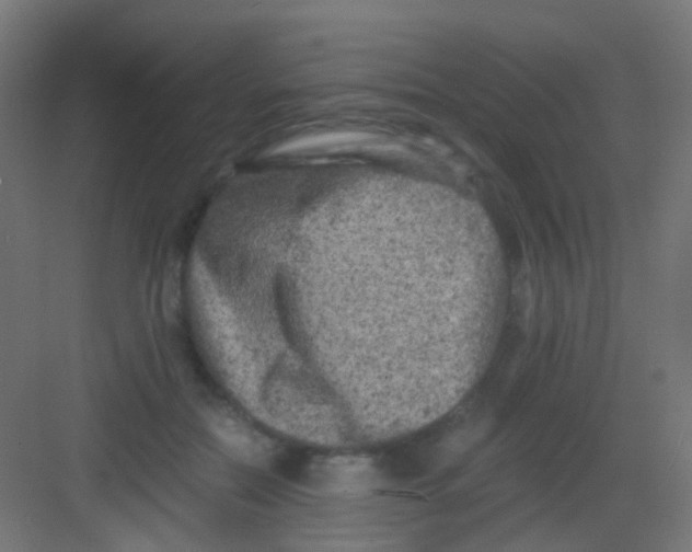 X0000081390554200702090040