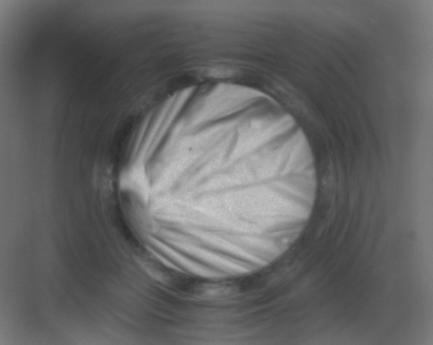 X0000081390555200702090040