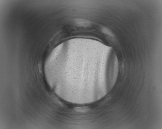 X0000081390556200702090041