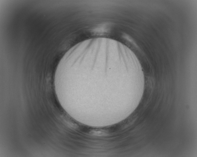 X0000081390557200702090041