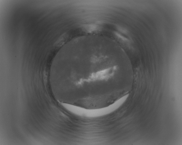 X0000081390558200702090041