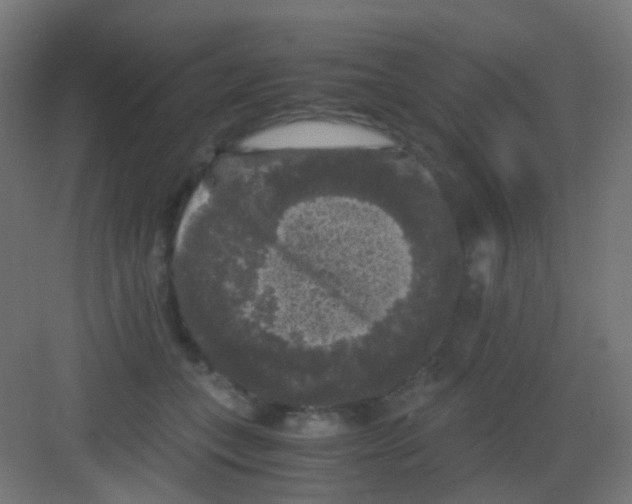 X0000081390559200702090041