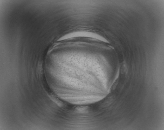 X0000081390560200702090041