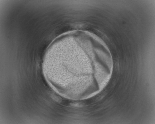 X0000081390561200702090041