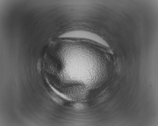 X0000081390562200702090041